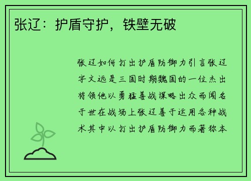 张辽：护盾守护，铁壁无破